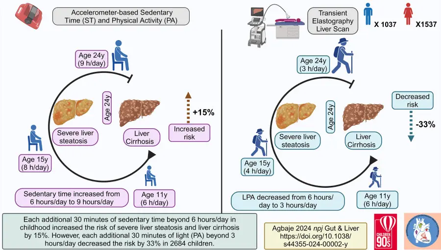 Childhood sedentariness can cause severe fatty liver disease and liver cirrhosis